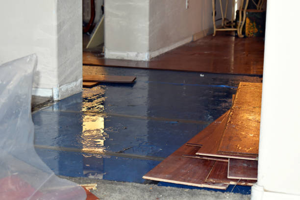 Professional Basement Flood Cleanup technician working in Park City, IL